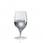 Ravenscroft Crystal Tasting/All Purpose Drinking Glasses (Set of 4)