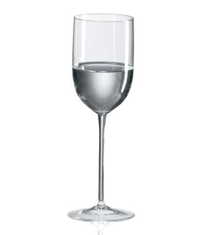 Ravenscroft Long Stem Mineral Water Drinking Glasses (Set of 4)