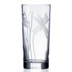 Dragonfly Highball Drinking Glasses 15 oz. Diamond Cut Dragonfly engraved by Rolf Glass